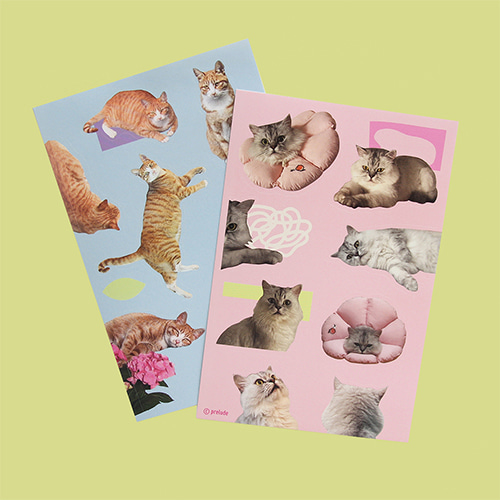 [프렐류드] Studio Cat Sticker (재입고)